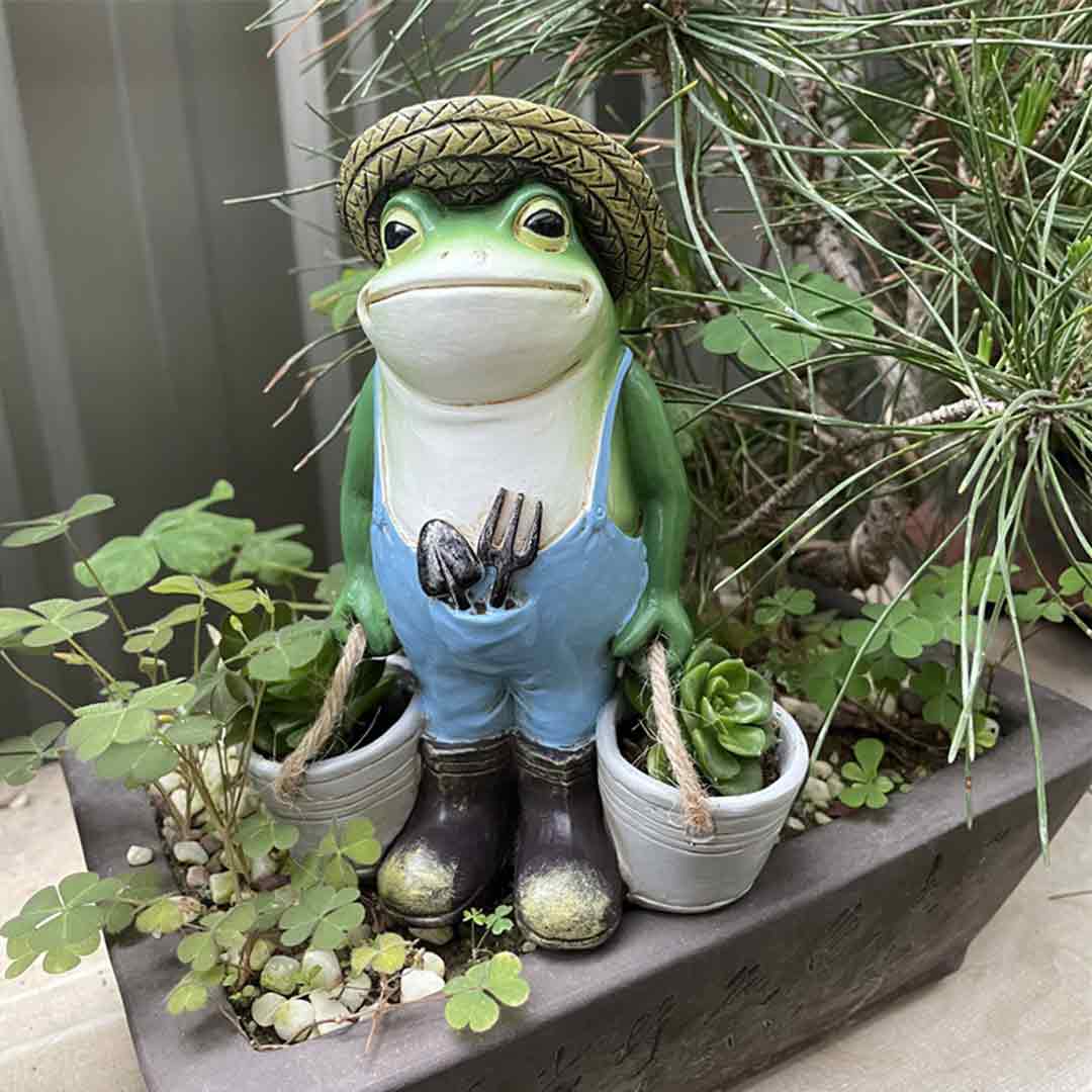 Gardener Frog