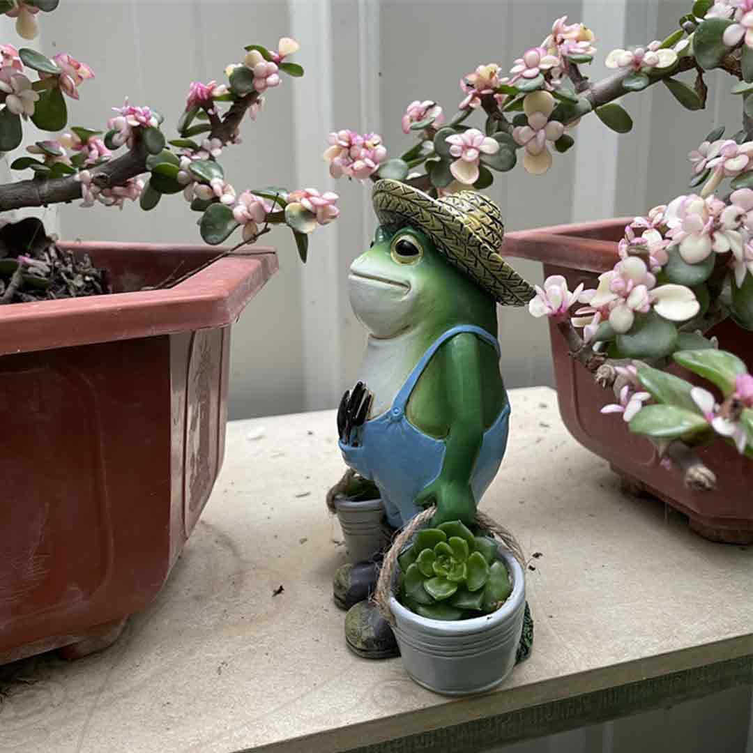 Gardener Frog