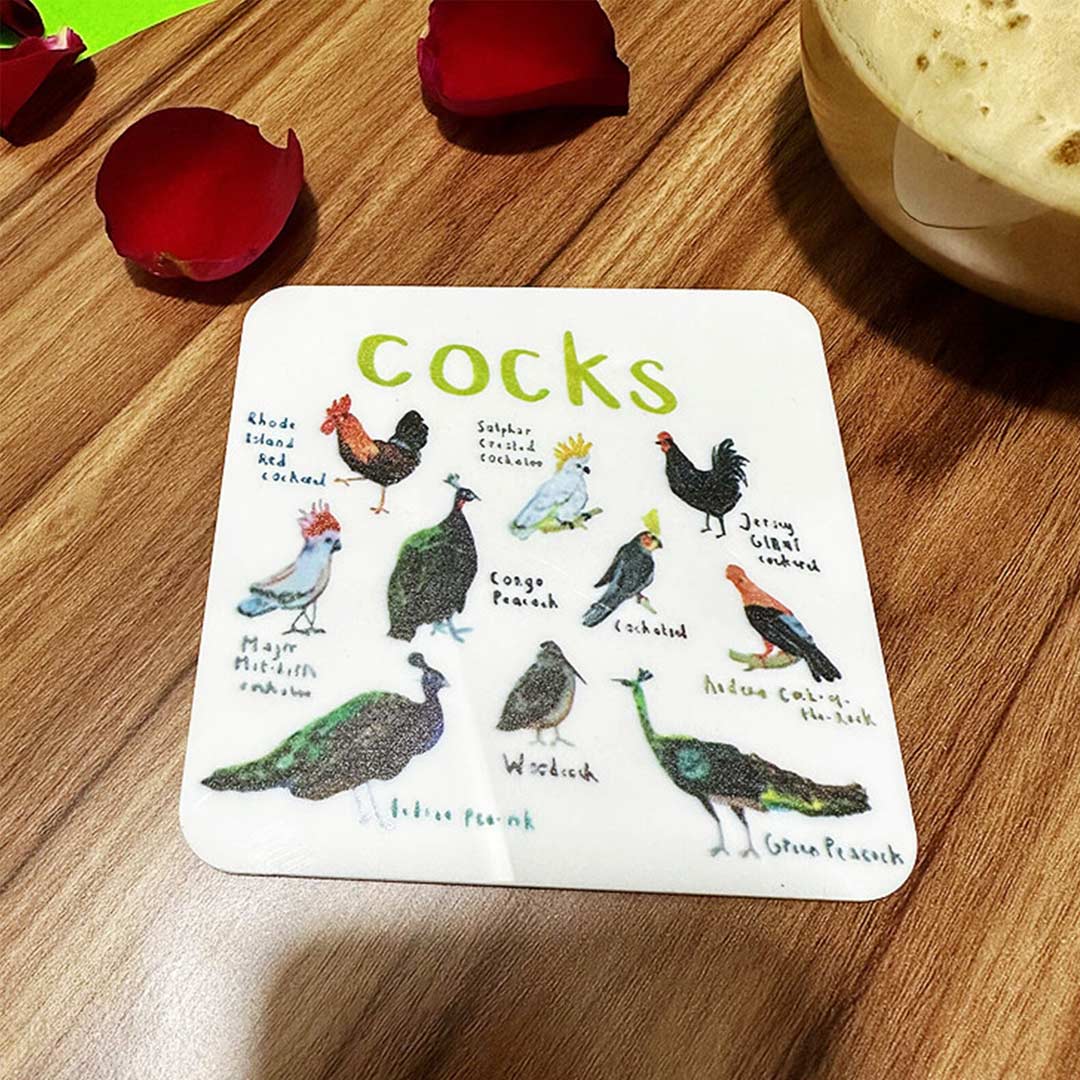 Set of 6 Bird Pun Coasters