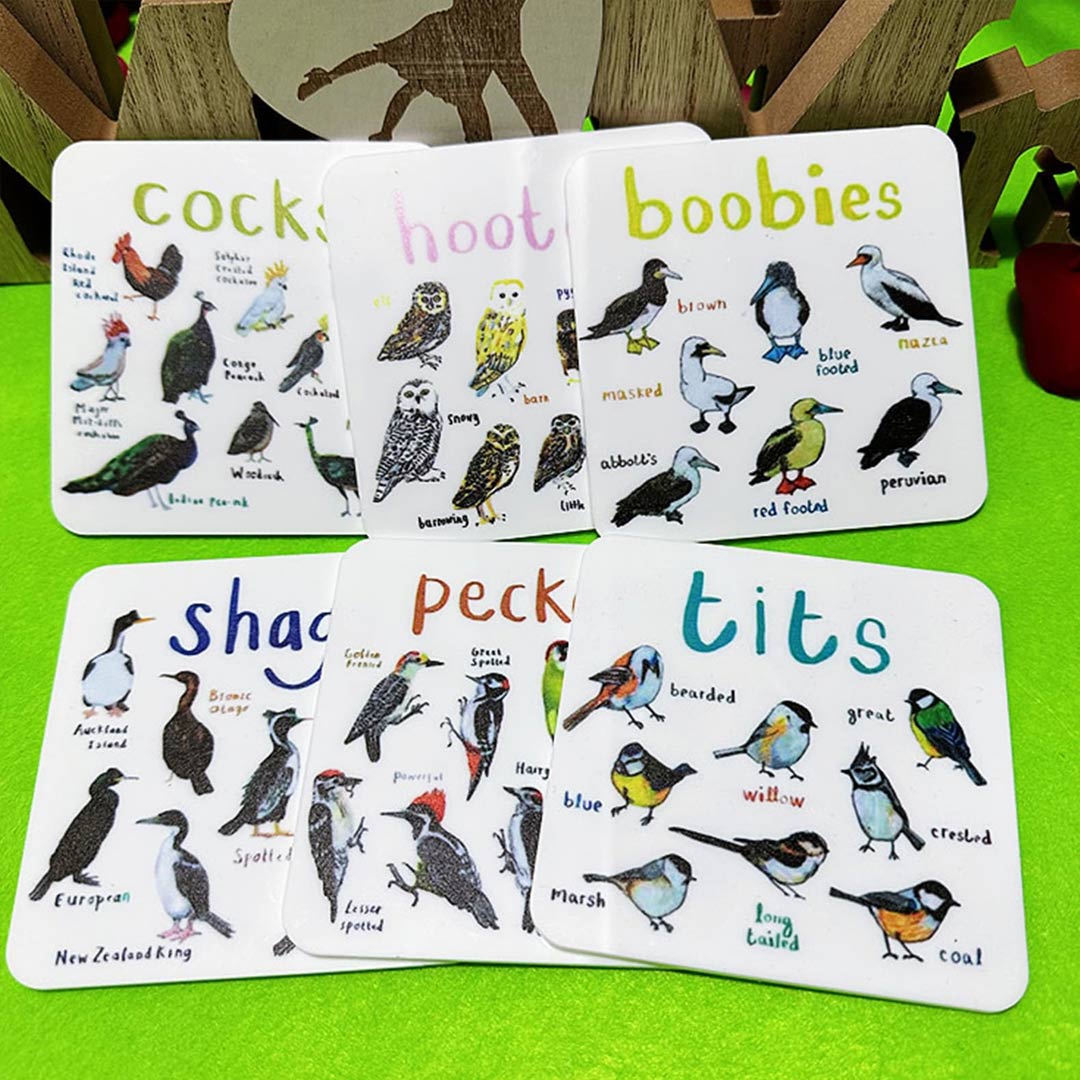 Set of 6 Bird Pun Coasters