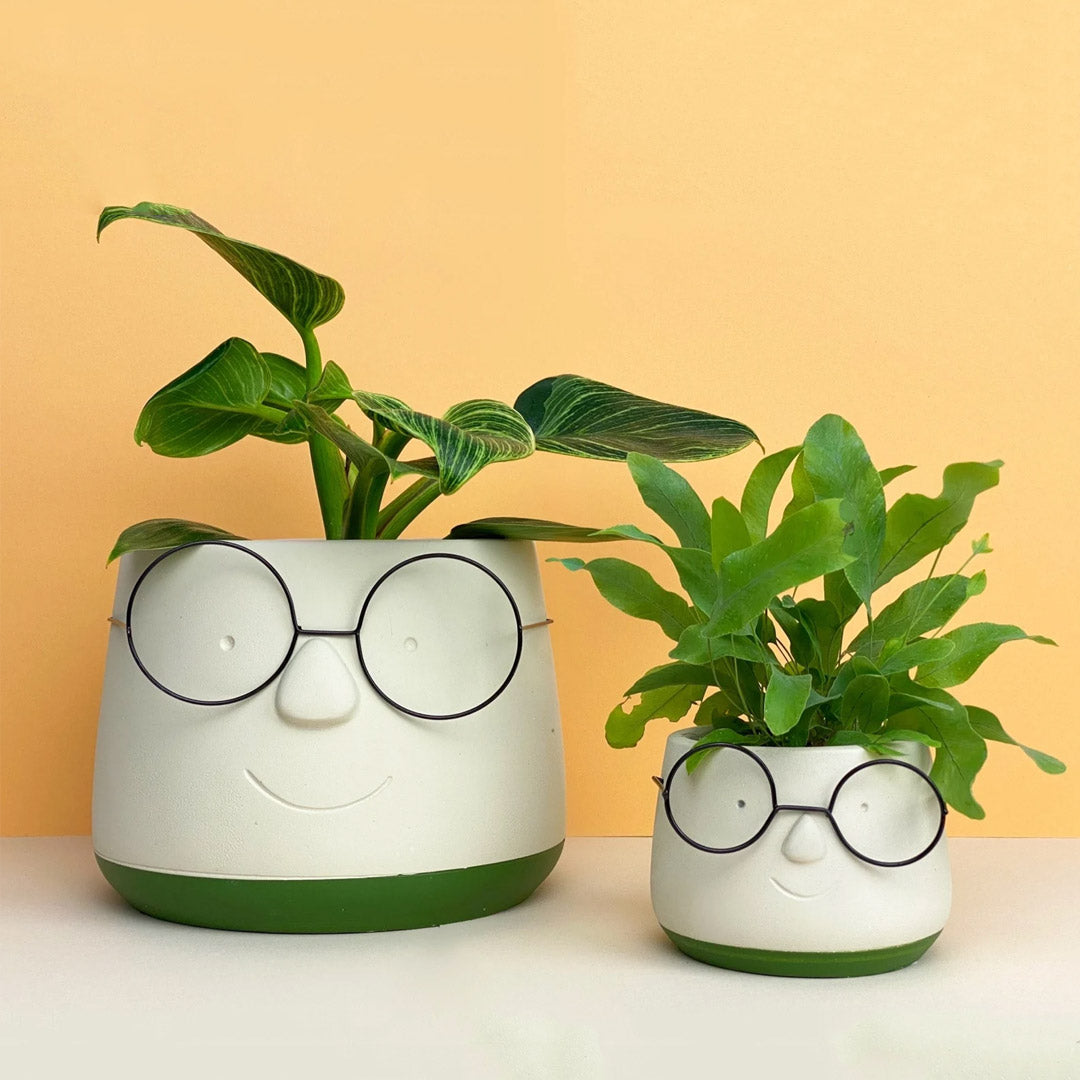 Vaso per piante con occhiali per il viso