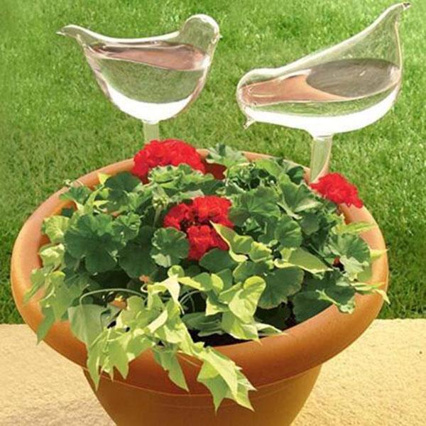 Bombillas de pájaros de vidrio para plantas de autorriego