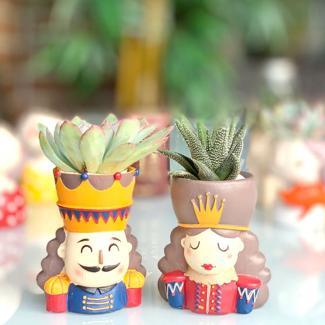 Vaso creativo per piante King e Queen