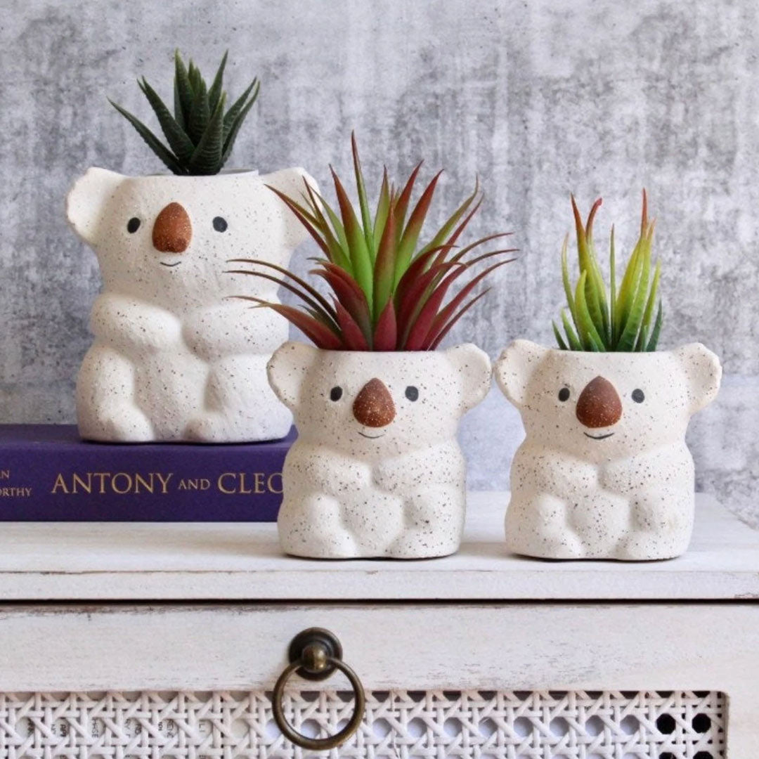 Koala bear Succulent Pot