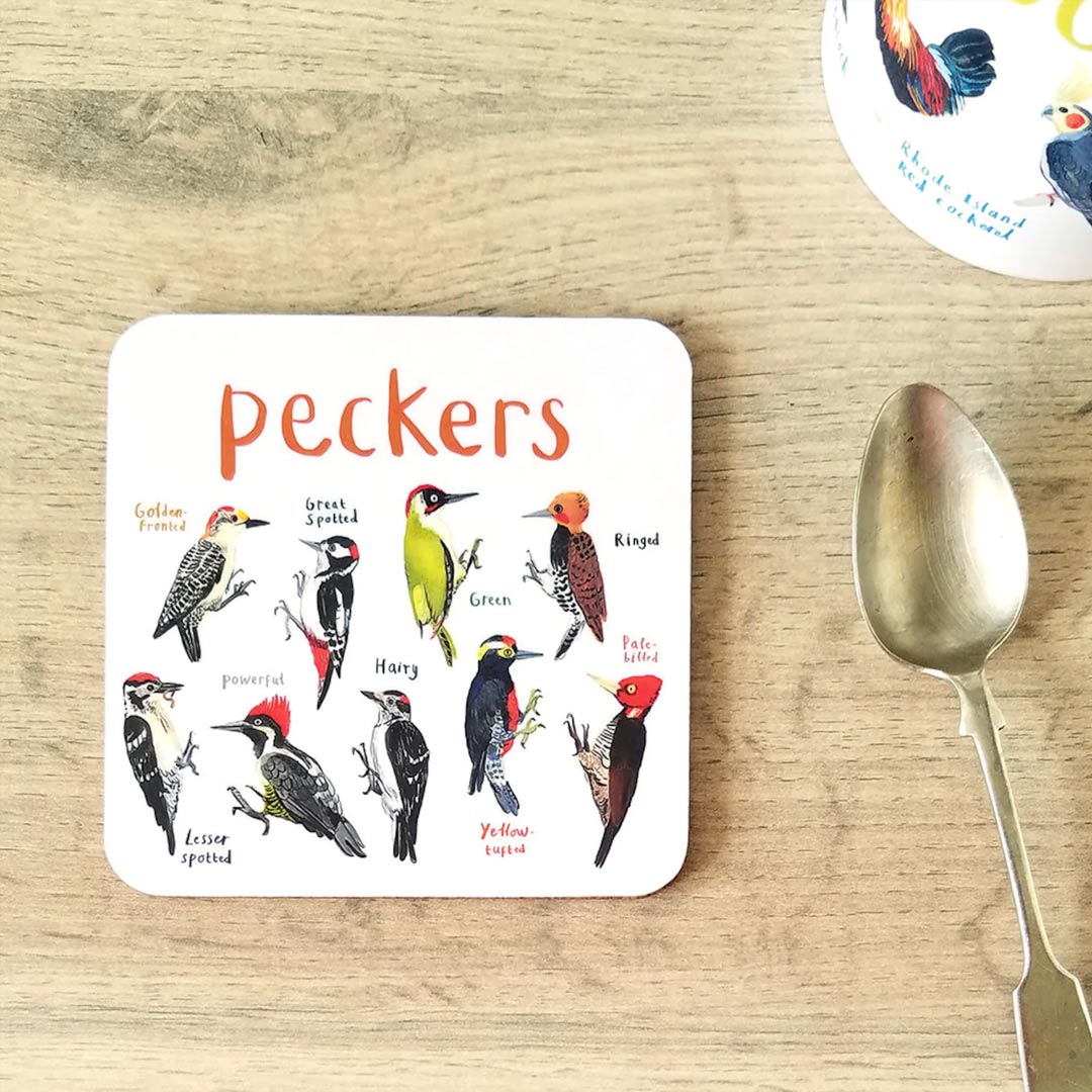 Set of 6 Bird Pun Coasters