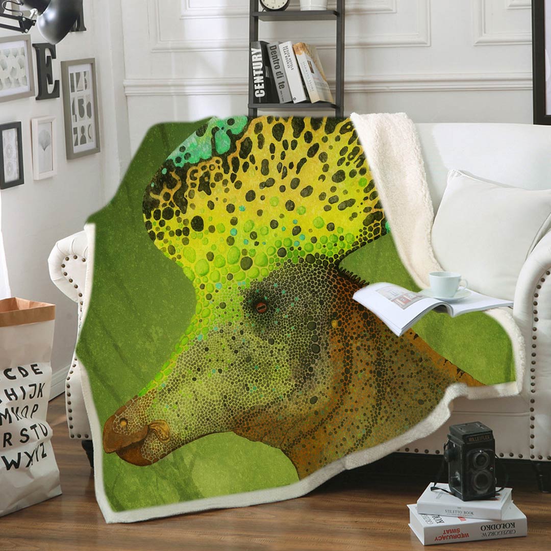 Couverture molletonnée dinosaure