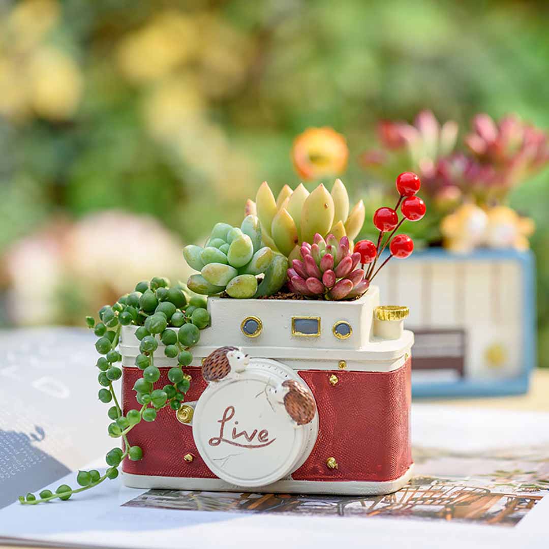 Creative Retro Objects Planter