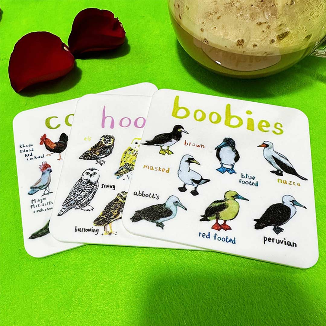 Set of 6 Bird Pun Coasters