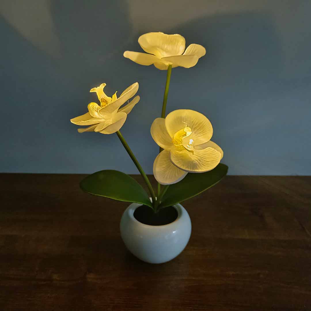 Phalaenopsis LED Lamp