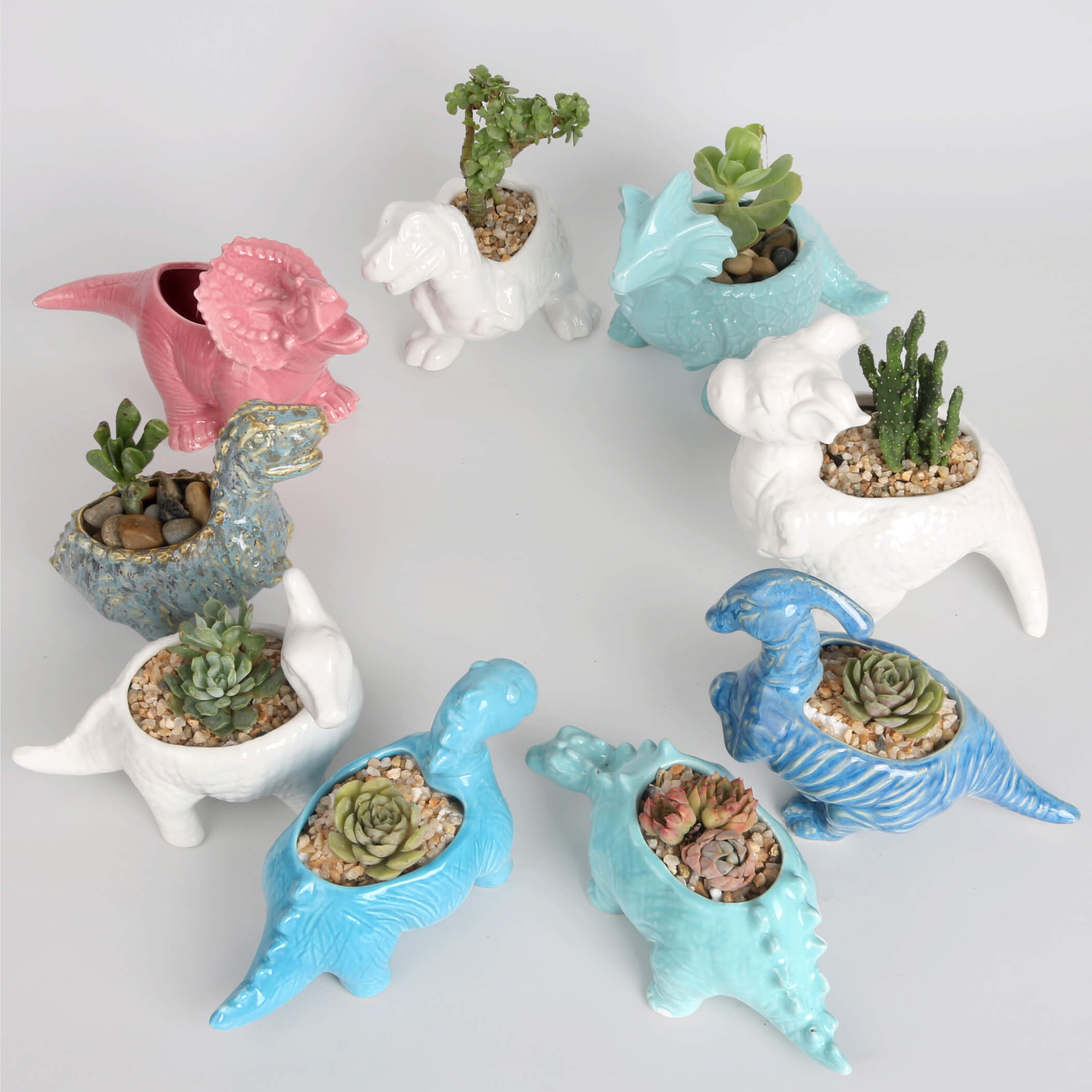 Maceta de dinosaurio para plantas suculentas