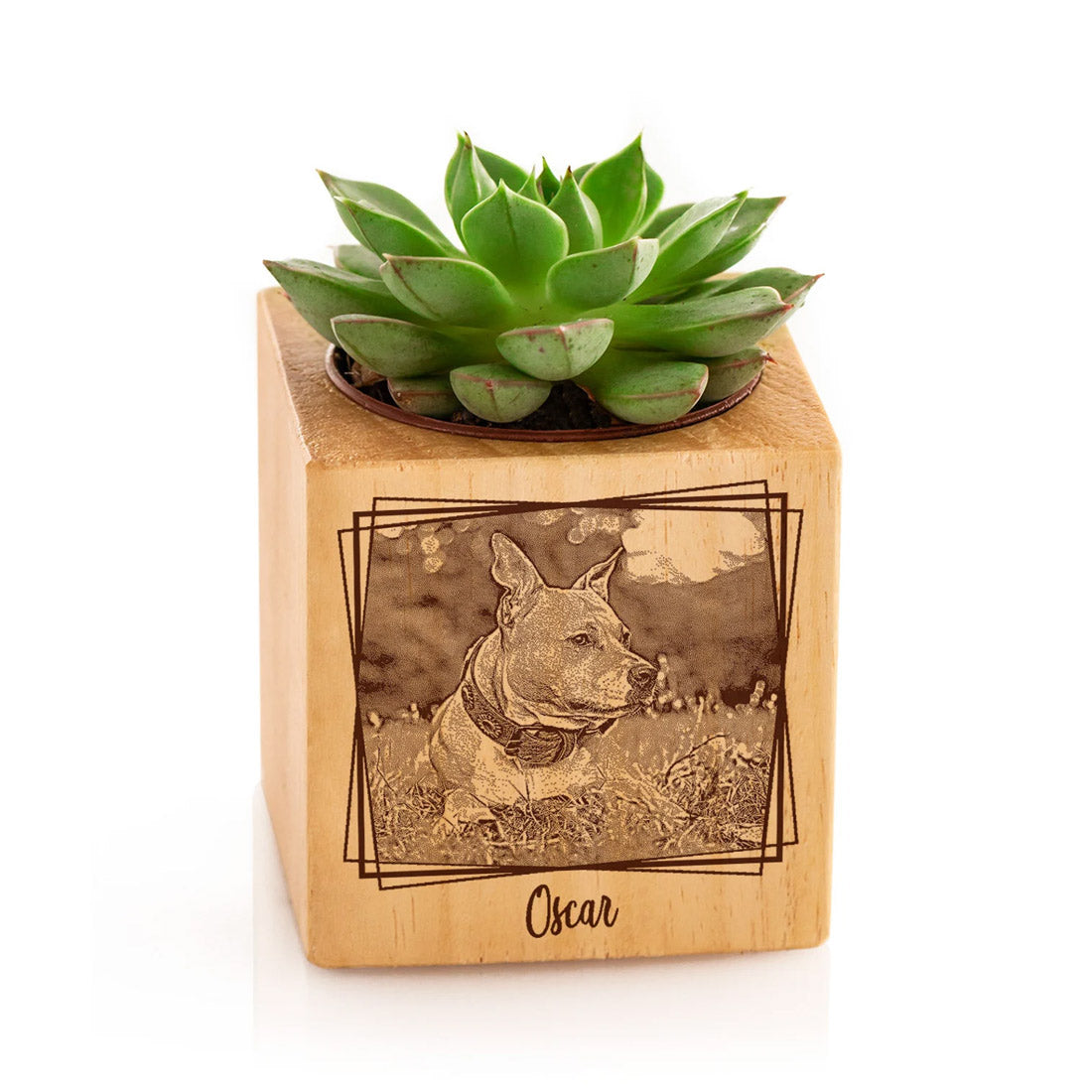 Custom Photo Engraved Succulent Pots