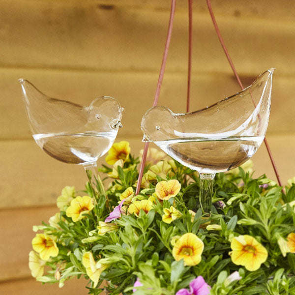 Bombillas de pájaros de vidrio para plantas de autorriego