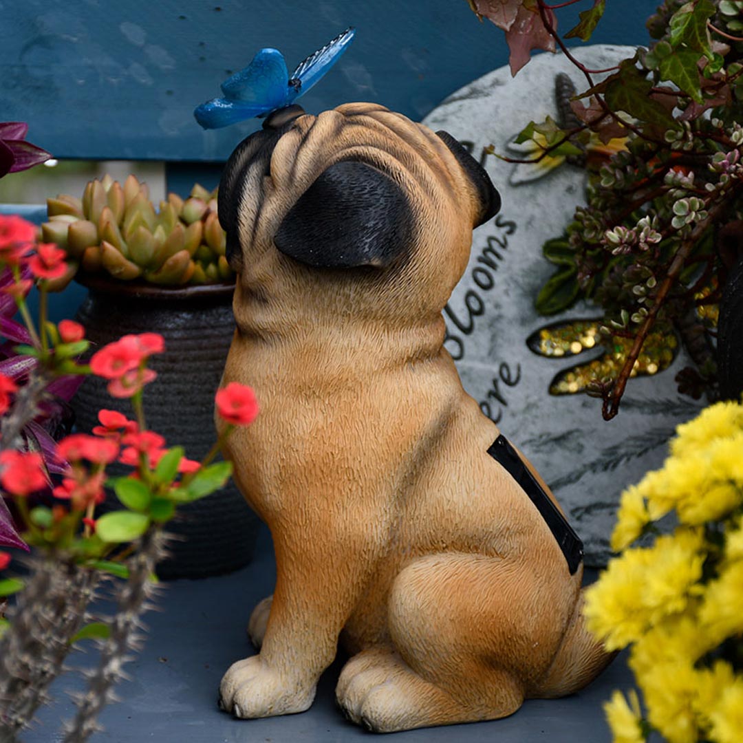 Cane/gatto con decorazioni da giardino con luci solari a farfalla