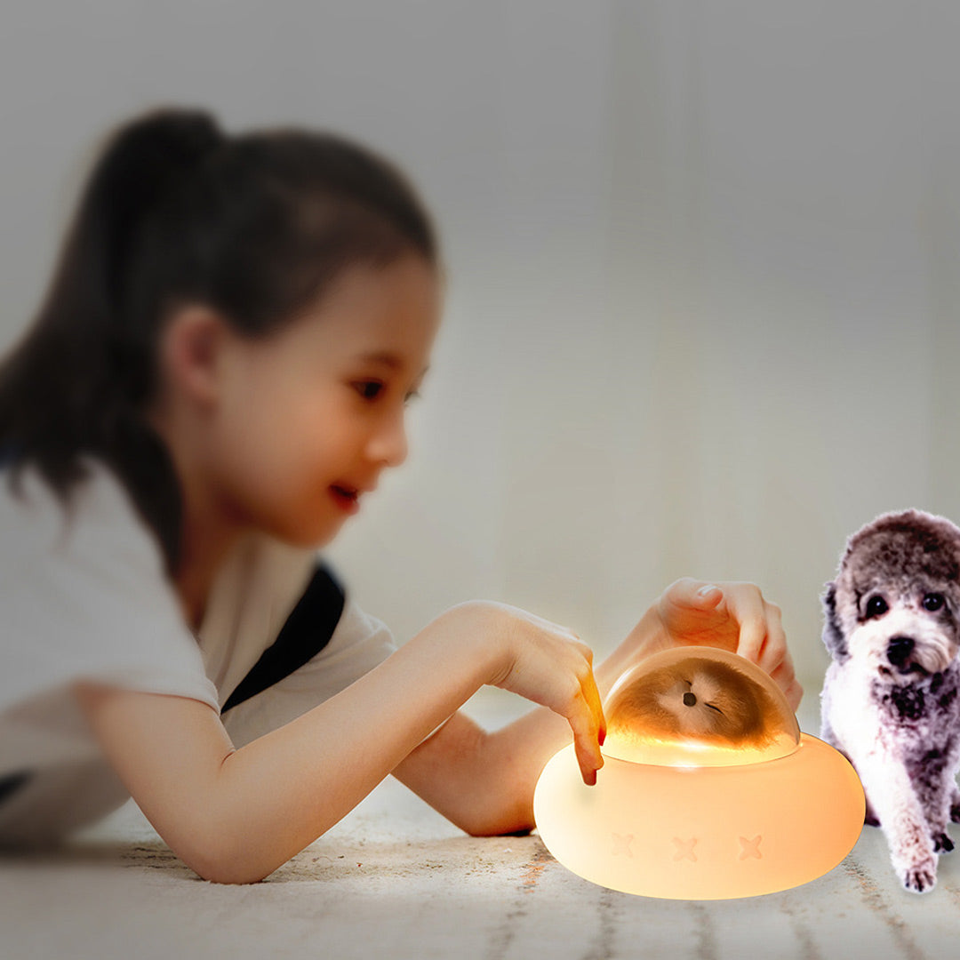 Raumschiff-Haustierlampe mit Katze oder Hund