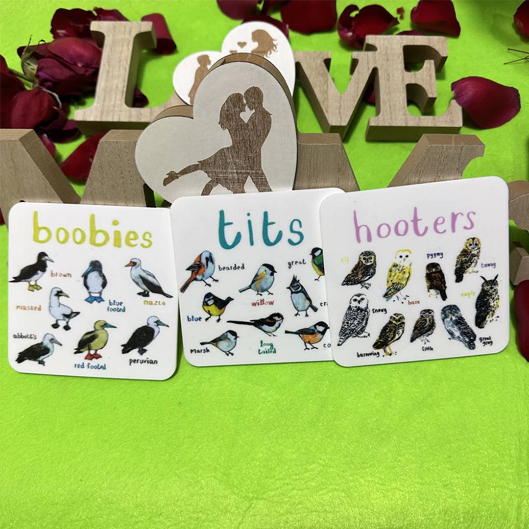 Set of 6 Bird Pun Coasters