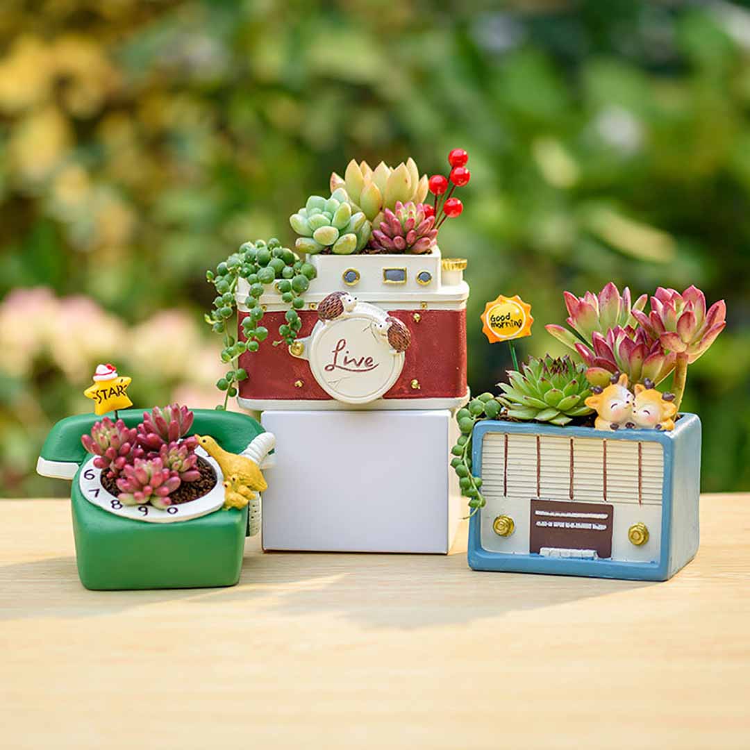 Creative Retro Objects Planter