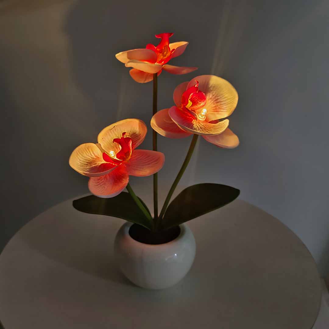 Phalaenopsis LED Lamp