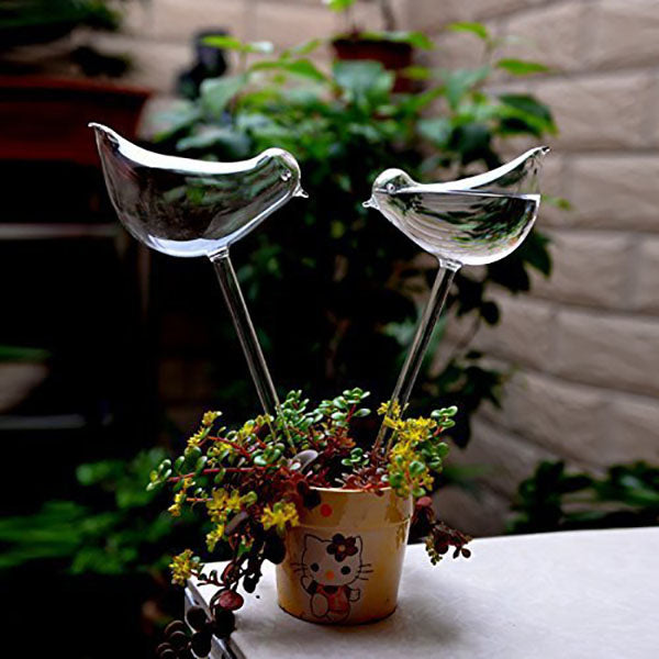 Bombillas de pájaros de vidrio para plantas de autorriego