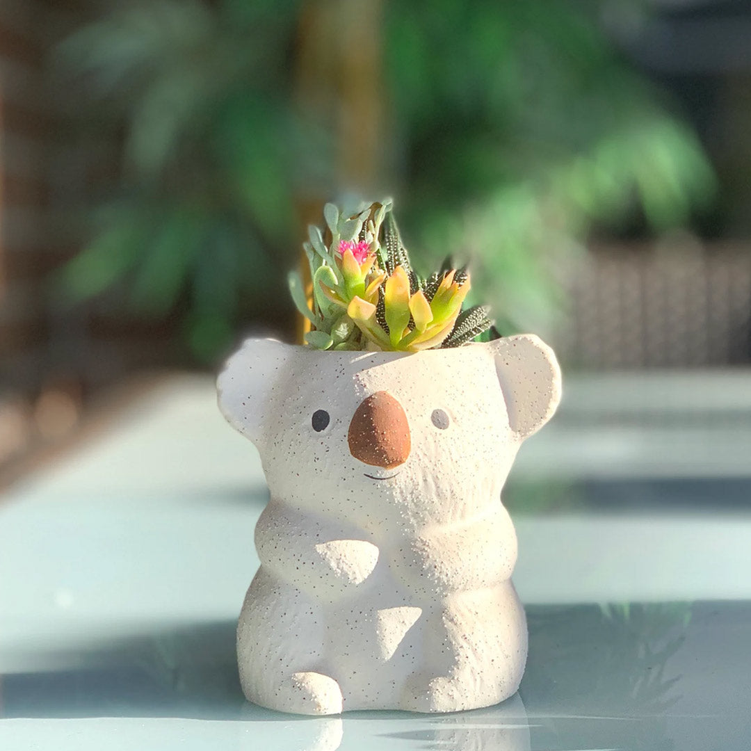 Koala bear Succulent Pot