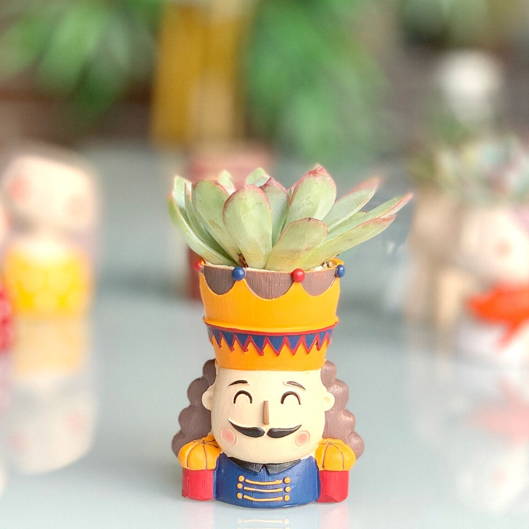 Kreativer Blumentopf für König und Königin