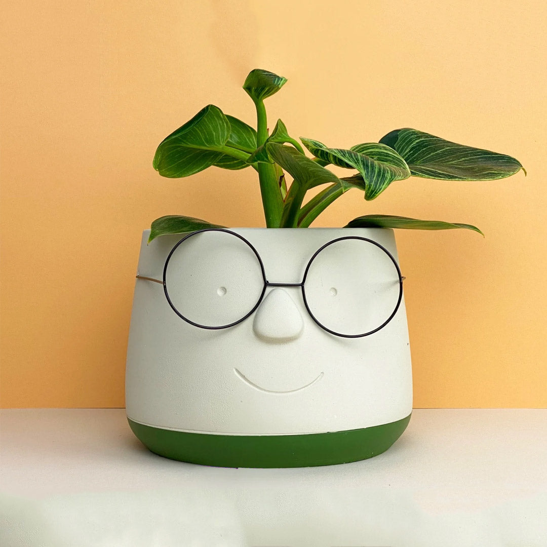 Vaso per piante con occhiali per il viso