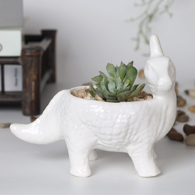 Maceta de dinosaurio para plantas suculentas