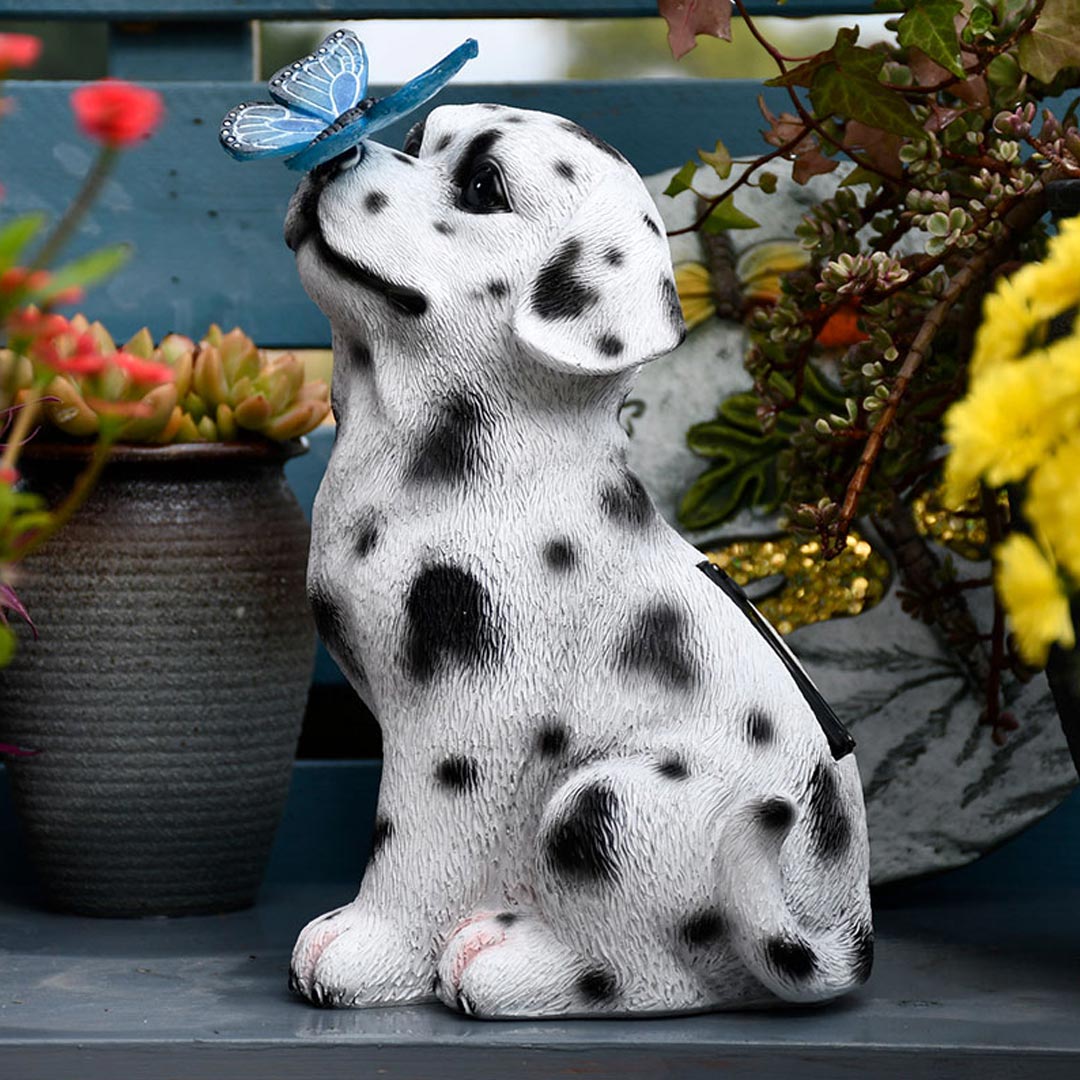 Cane/gatto con decorazioni da giardino con luci solari a farfalla