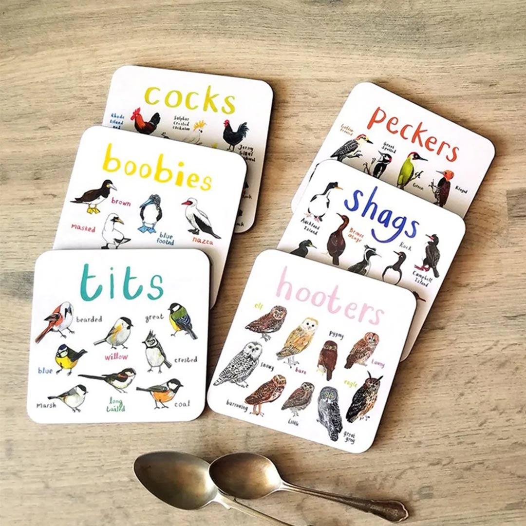 Set of 6 Bird Pun Coasters