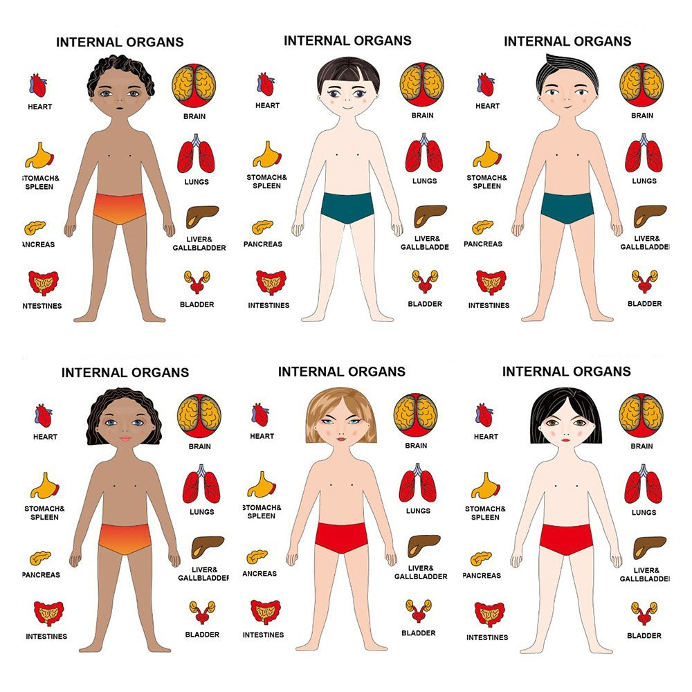 Rompecabezas de madera del cuerpo humano