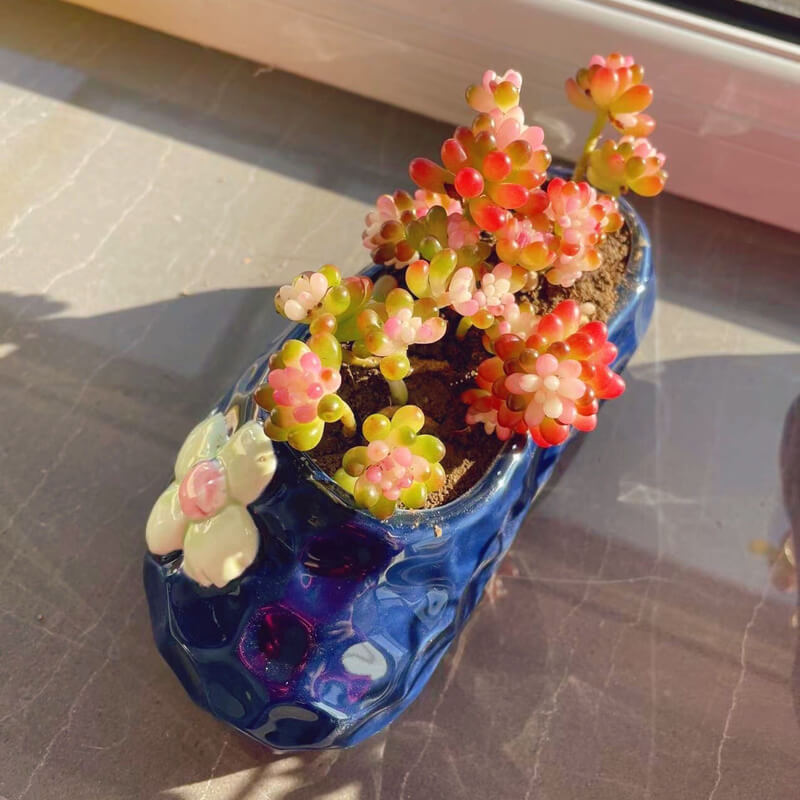 Scarpe creative Vaso di fiori in ceramica