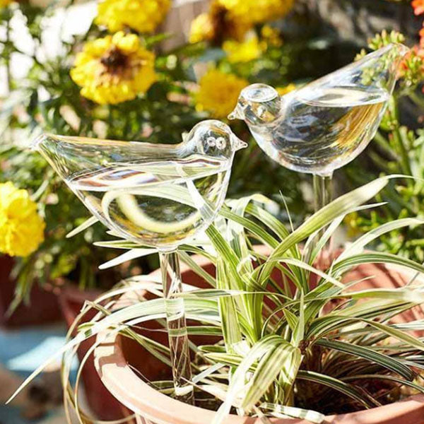 Bombillas de pájaros de vidrio para plantas de autorriego