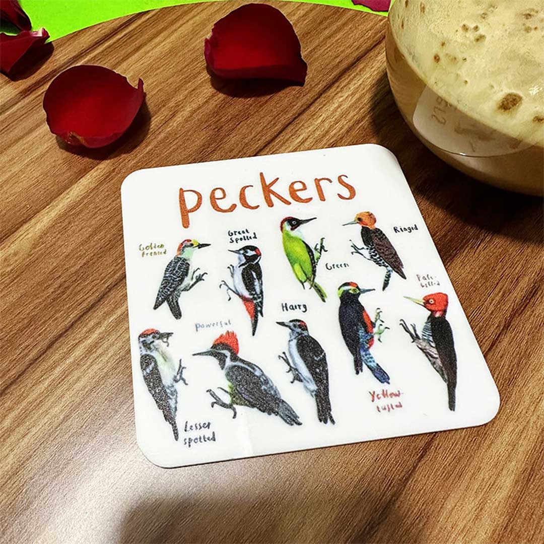 Set of 6 Bird Pun Coasters