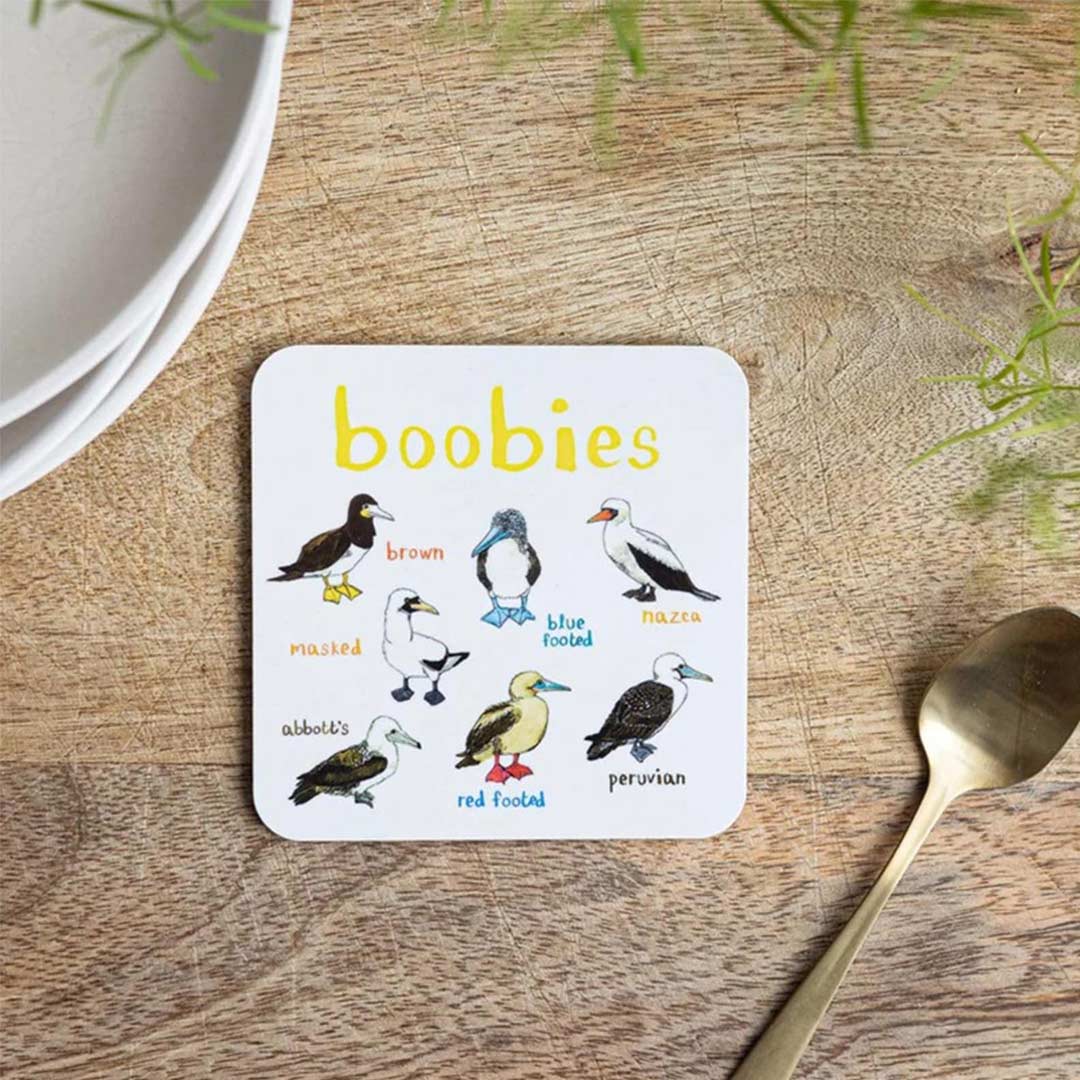 Set of 6 Bird Pun Coasters