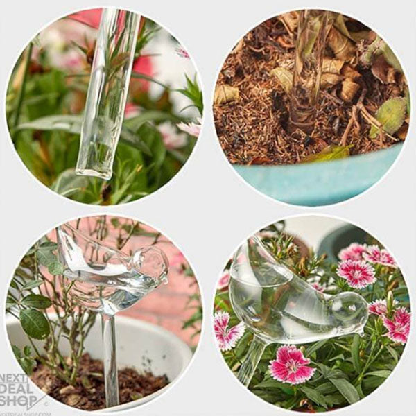Bombillas de pájaros de vidrio para plantas de autorriego