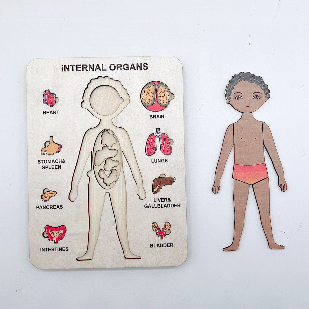 Rompecabezas de madera del cuerpo humano