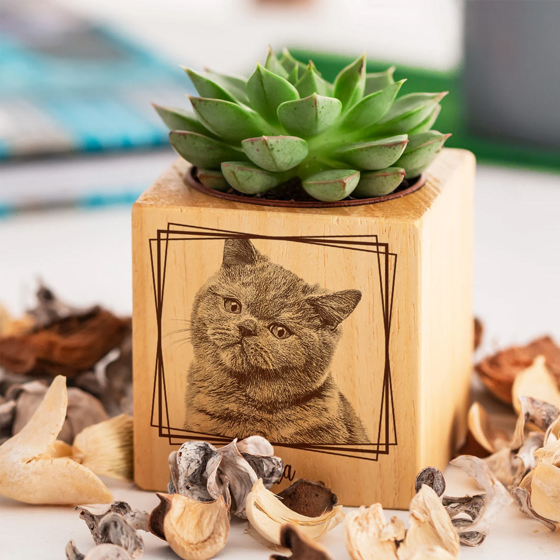 Custom Photo Engraved Succulent Pots