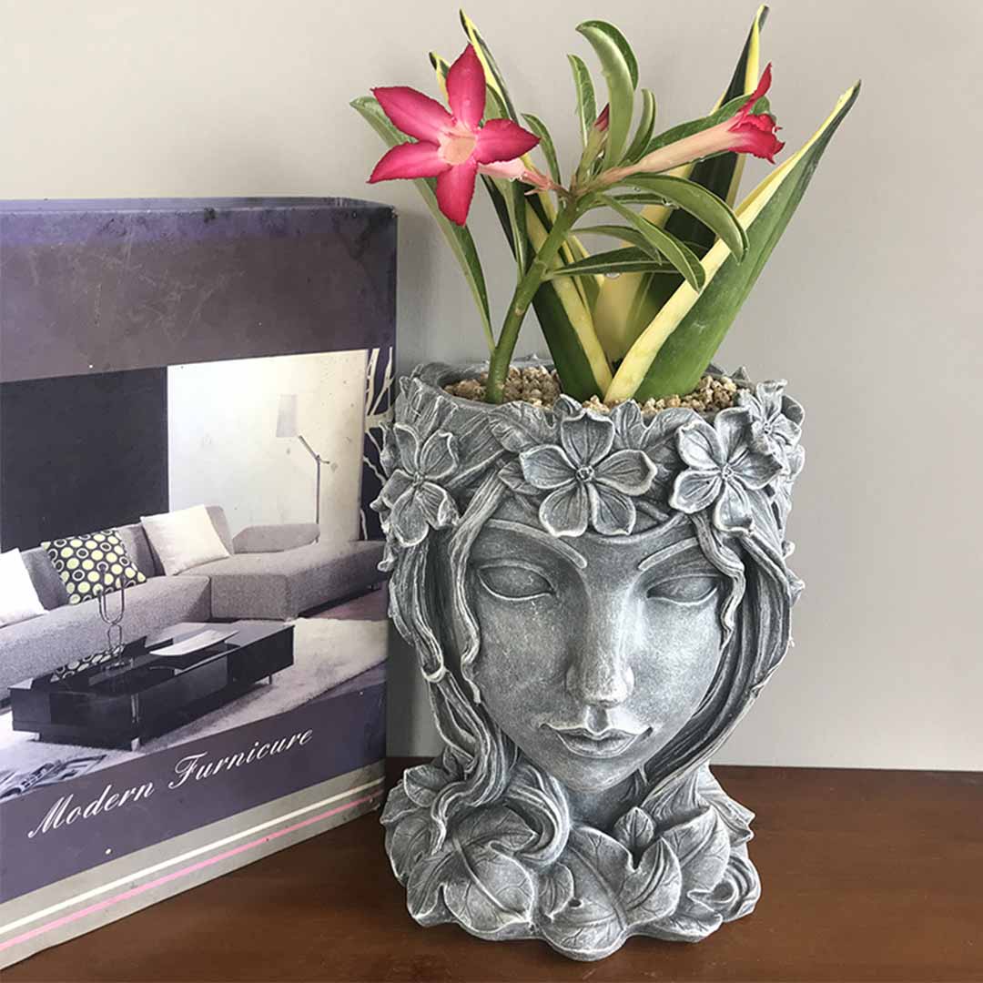 Pot de fleur de visage de fée