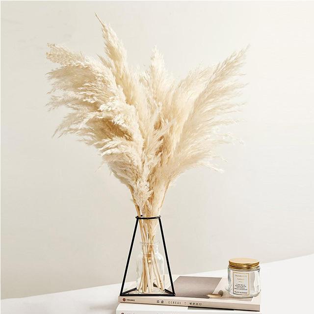 Decoración de estilo vintage de hierba de pampa