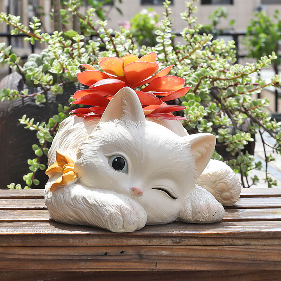 Linda maceta de flores suculentas de gato