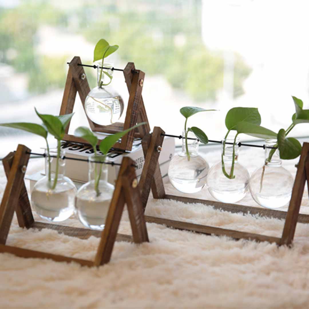 Jardinera de bulbos de vidrio transparente