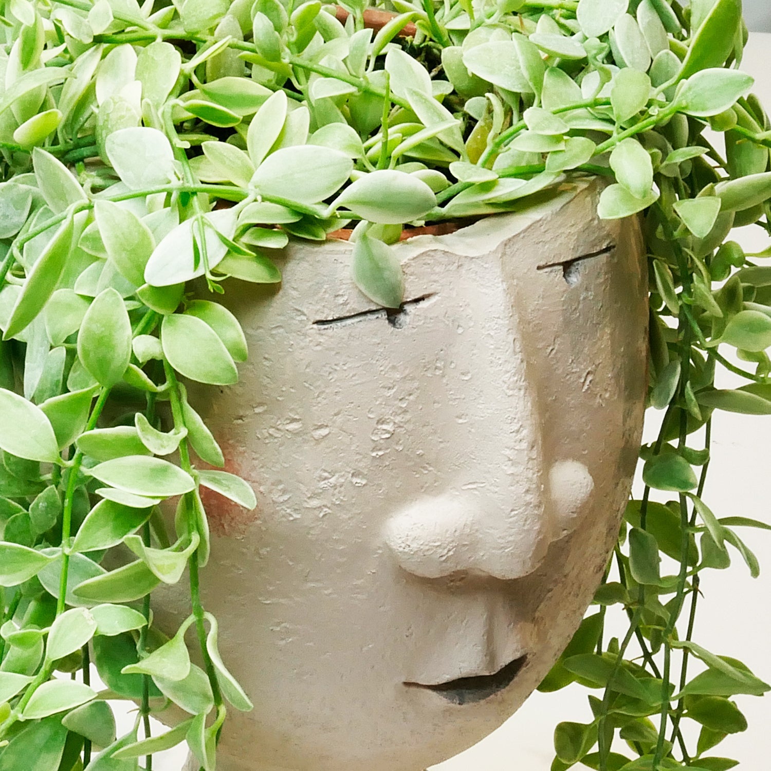 Jardinière de visage de portrait d'art
