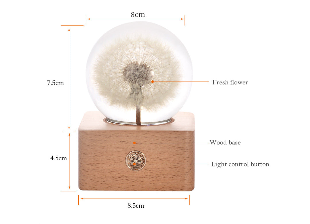 Fresh Flower Night light