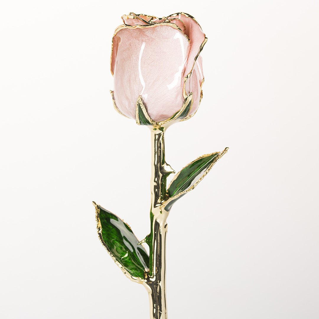 Rose d'or 24 carats