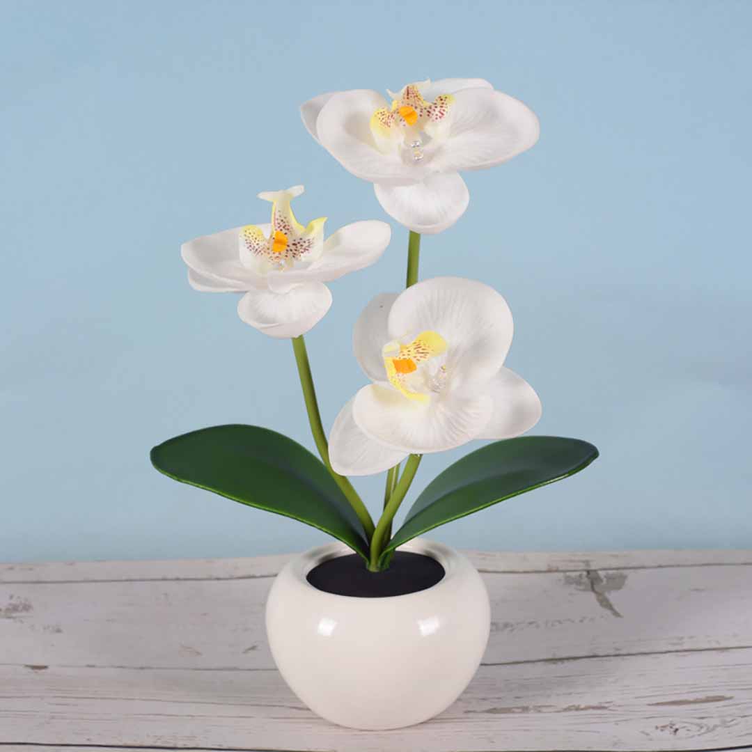 Phalaenopsis LED Lamp