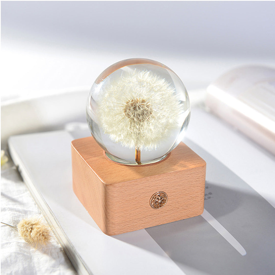 Fresh Flower Night light