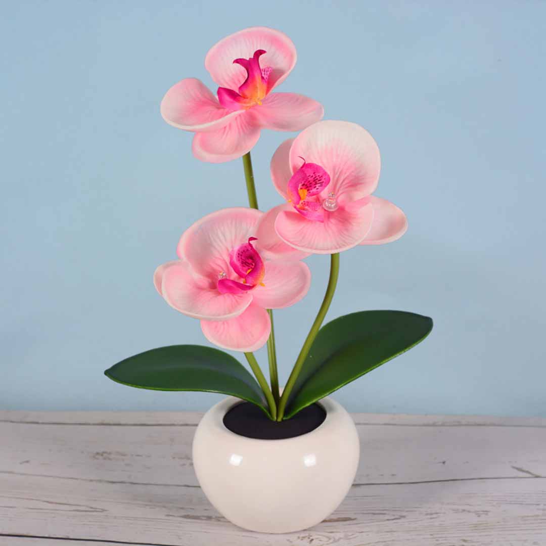 Phalaenopsis LED Lamp