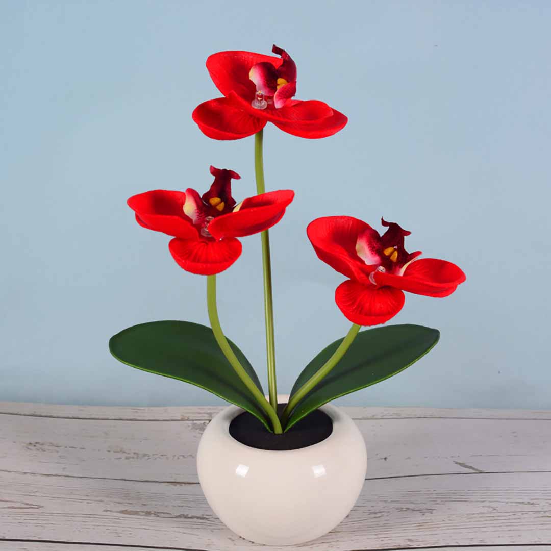 Phalaenopsis LED Lamp