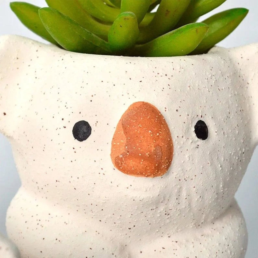 Koala bear Succulent Pot