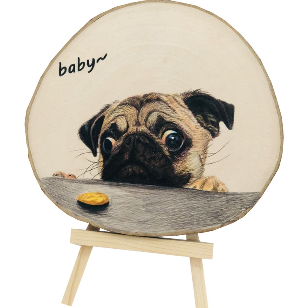 Custom Hand Painted Pet Portrait