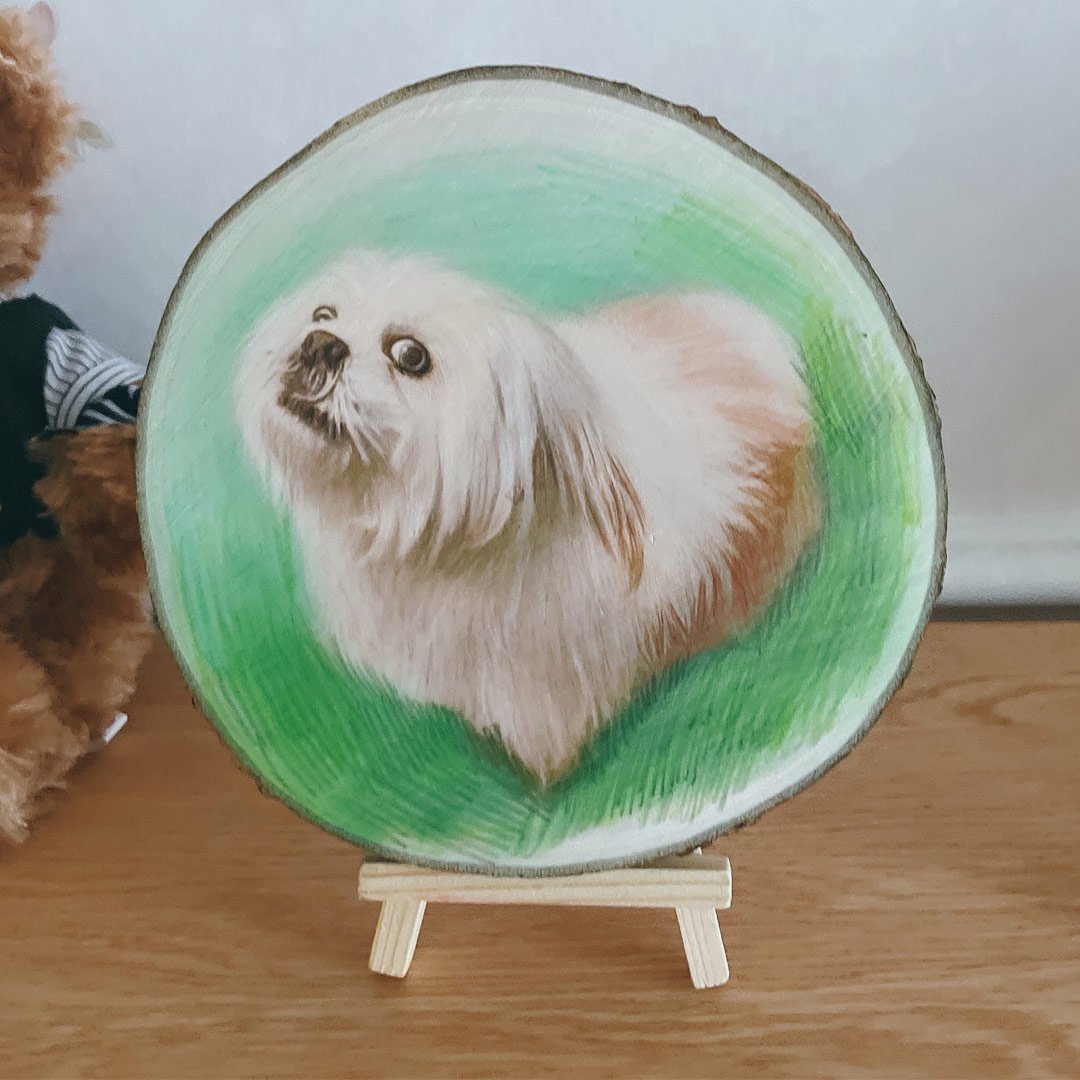 Ritratto di animale domestico dipinto a mano personalizzato